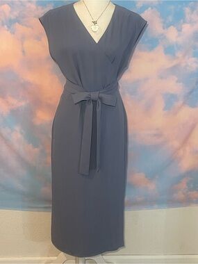 Modern and Classy Everlane Slate Blue Sleeveless Wrap Midi Dress